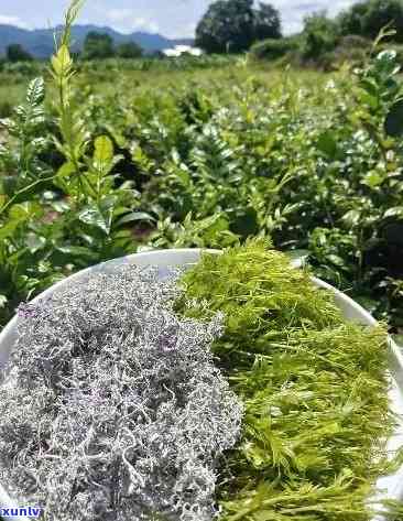 綜合布線 第238頁