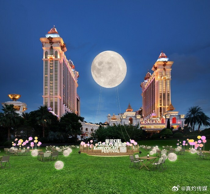 ＂澳門(mén)一肖一碼100%精準(zhǔn)的背景故事＂的：植物保護(hù)_高效版8.4