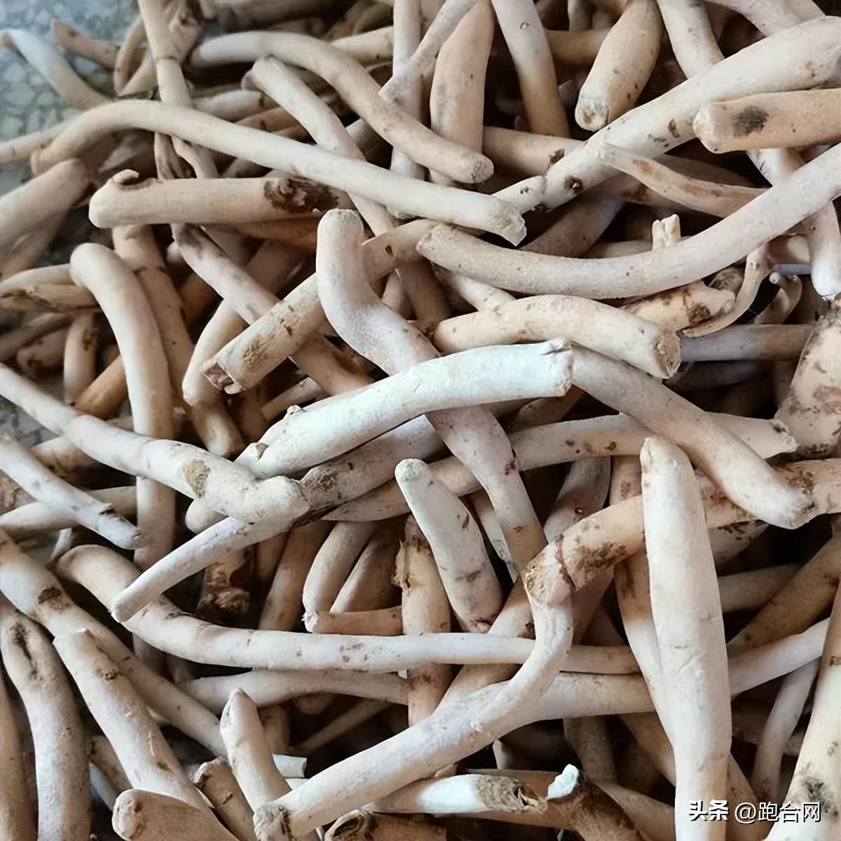 毫州藥材最新價格表，學習變化，成就自信之源