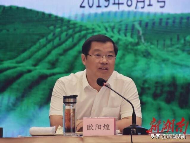 歐陽煌新任職務(wù)詳解，任職步驟與指南