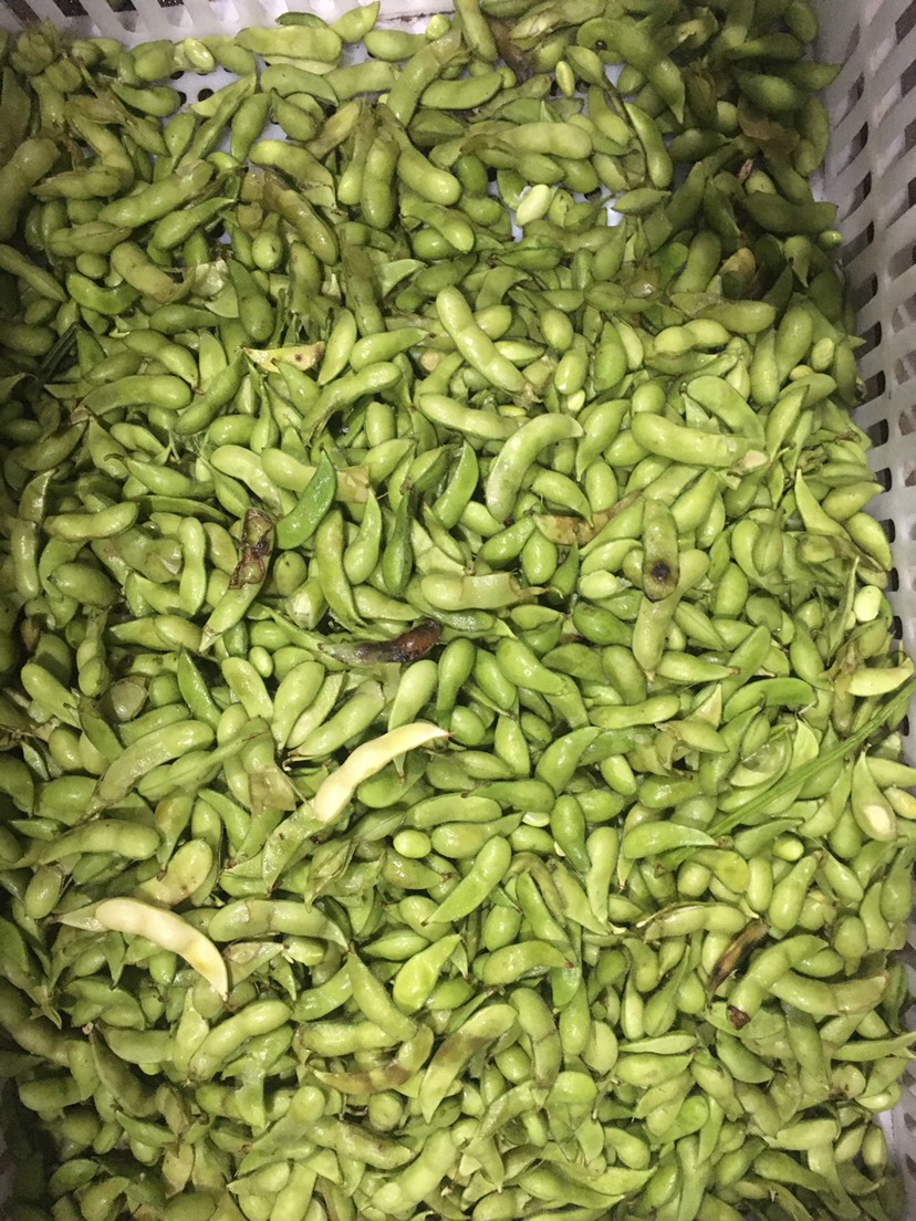 辦公打印 第162頁