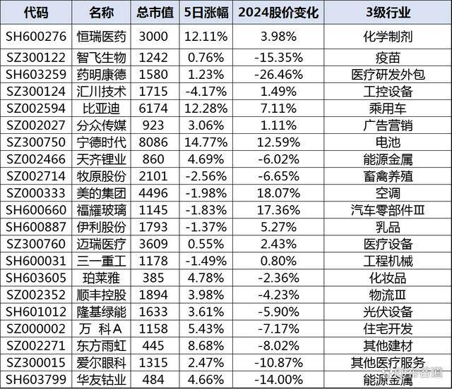 揭秘A50股票成分股，中國股市的重要支柱企業(yè)有哪些？