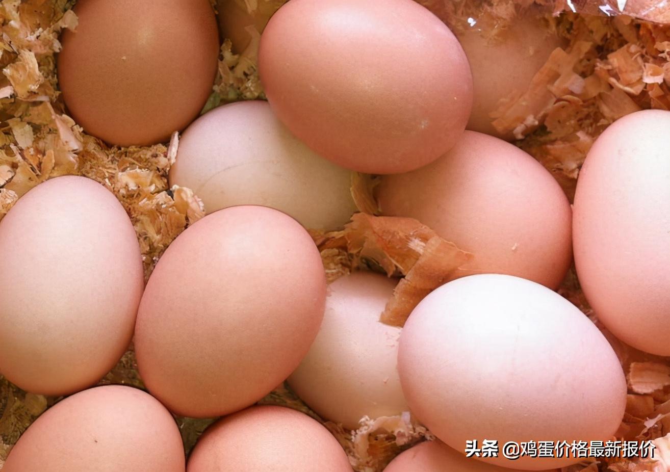 雞蛋批發(fā)價(jià)格行情解析，如何獲取最新資訊并做出明智決策