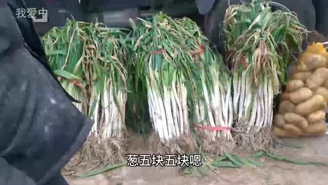 今日大蔥價格行情詳解，獲取與分析價格信息的指南