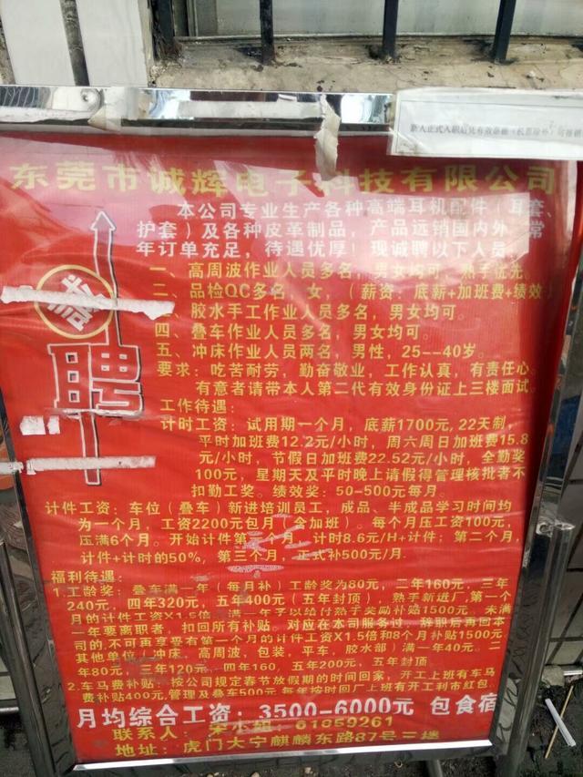 洪瀨最新招聘論壇，人才招聘的新視角與熱議話題