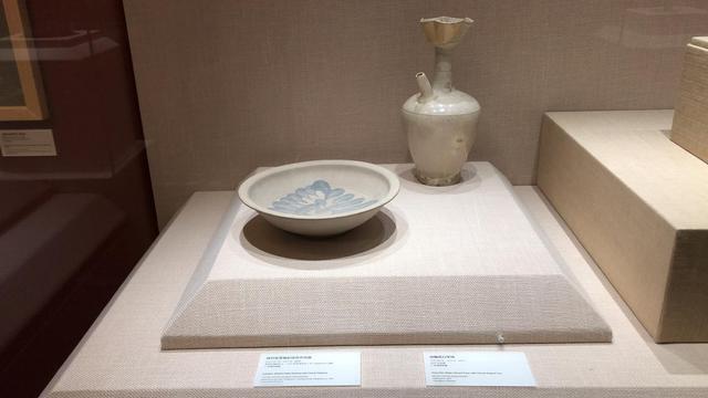國博海洋樂園最新進展，邁向未來的影響與期待