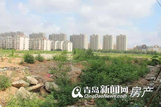 李滄楊哥莊最新動態(tài)，科技引領(lǐng)生活，智能新品體驗(yàn)未來
