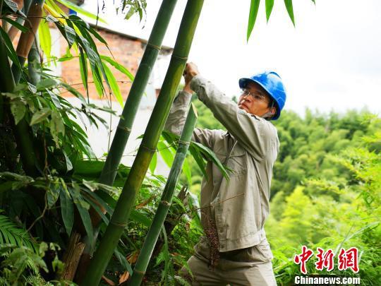 寧德臺風(fēng)最新動態(tài)，科技智能守護(hù)安全前沿