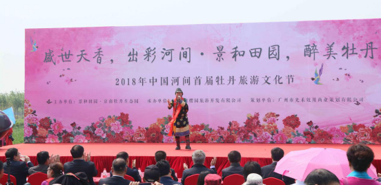 河間最新新聞，多維度視角的城市發(fā)展觀點碰撞與探討