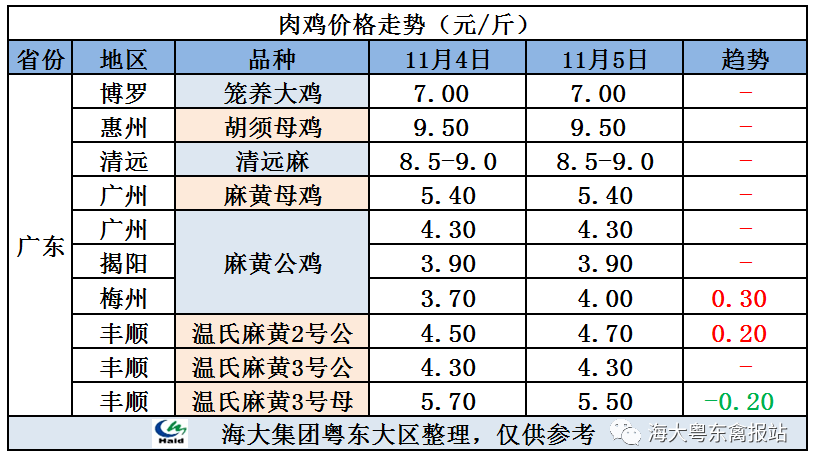 廣東雞價最新行情，心靈與自然的旅行交響曲