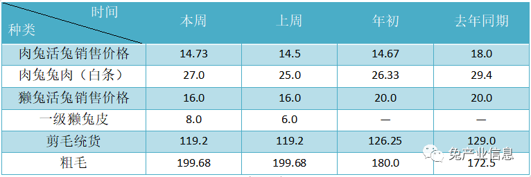 獺兔價(jià)格最新行情揭秘，溫情故事在兔子洞展開