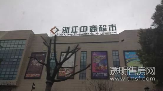 蕭山義橋最新招聘大揭秘，職位信息全面更新????