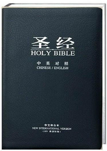 圣經最新版本，科技與信仰的交融之作